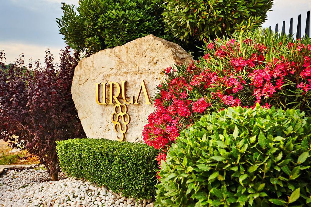 Two Rooms Hotel Urla Exterior photo
