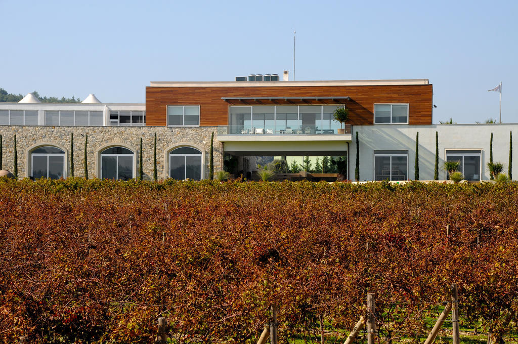 Two Rooms Hotel Urla Exterior photo