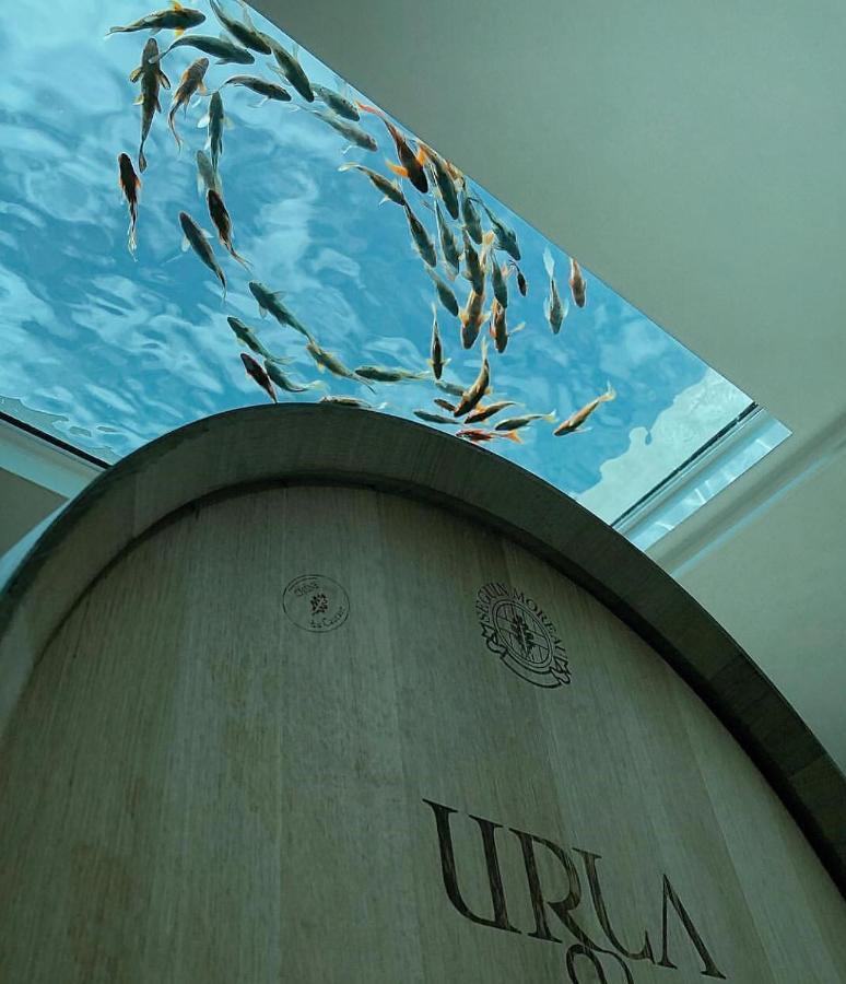 Two Rooms Hotel Urla Exterior photo